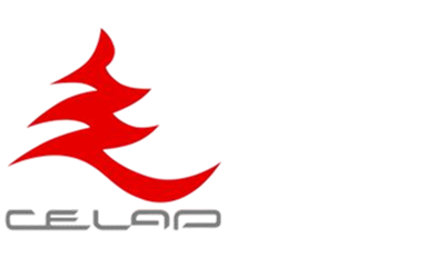 Пудунская Академия руководящих кадров